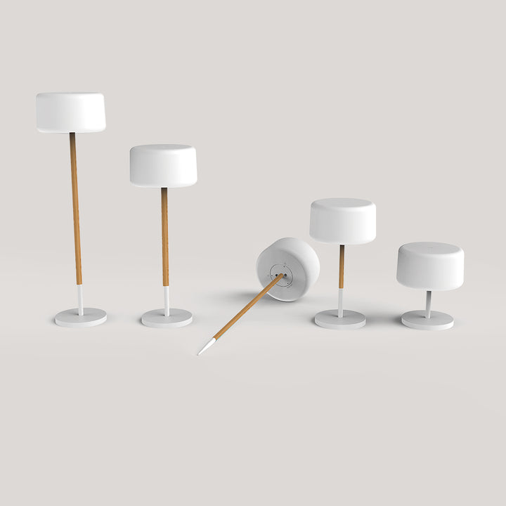 Chloe Plant Lampadaire |  Adjutable | Solaire & Rechargeable