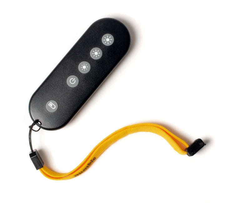 TELECOMMANDE HUMBLE LED LAMPE