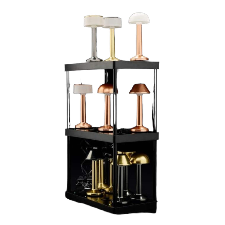 Direct-8 Multi-Chargeur Imagilights