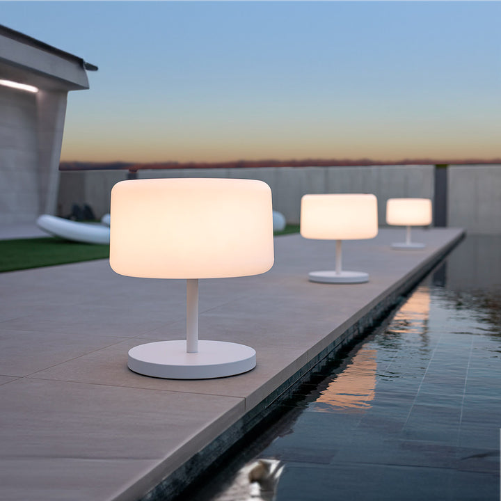 Chloe Plant Lampadaire |  Adjutable | Solaire & Rechargeable