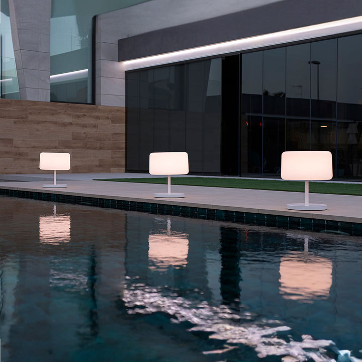 Chloe Plant Lampadaire |  Adjutable | Solaire & Rechargeable