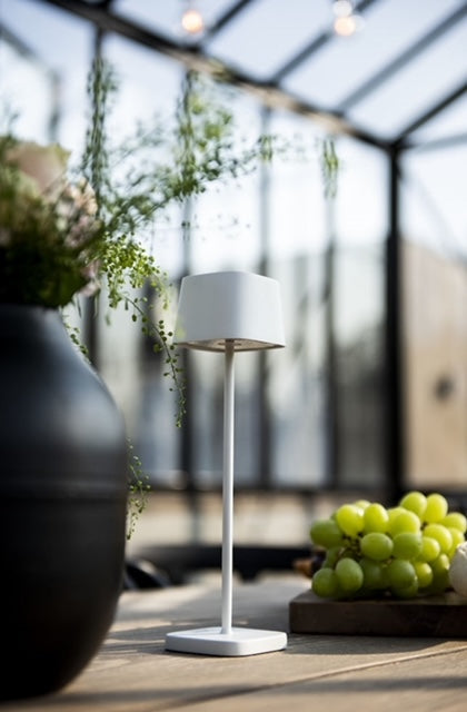 LAMPES SANS FIL POUR LA RESTAURATION