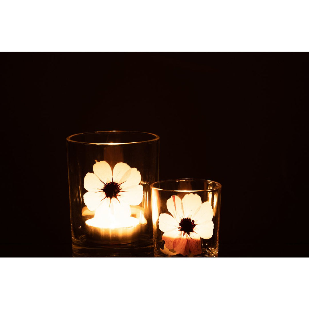 J-Line Photophore Fleur Rose Verre