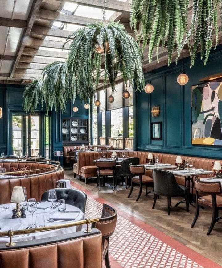 Doyle Collection Project candle concept