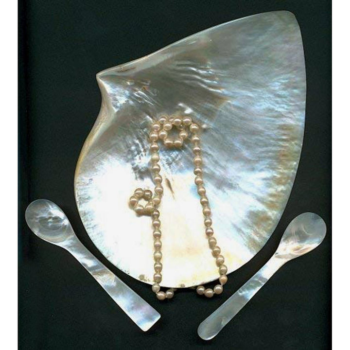 Set de 2 cuillères en nacre - cuillères à caviar / cuillères à œuf  pour restaurant gastronomique