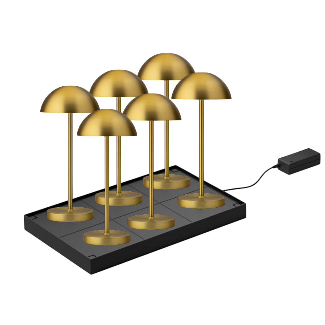 Set de 6 Lampes Rechargeables sans fil Tonga H26 cm OR