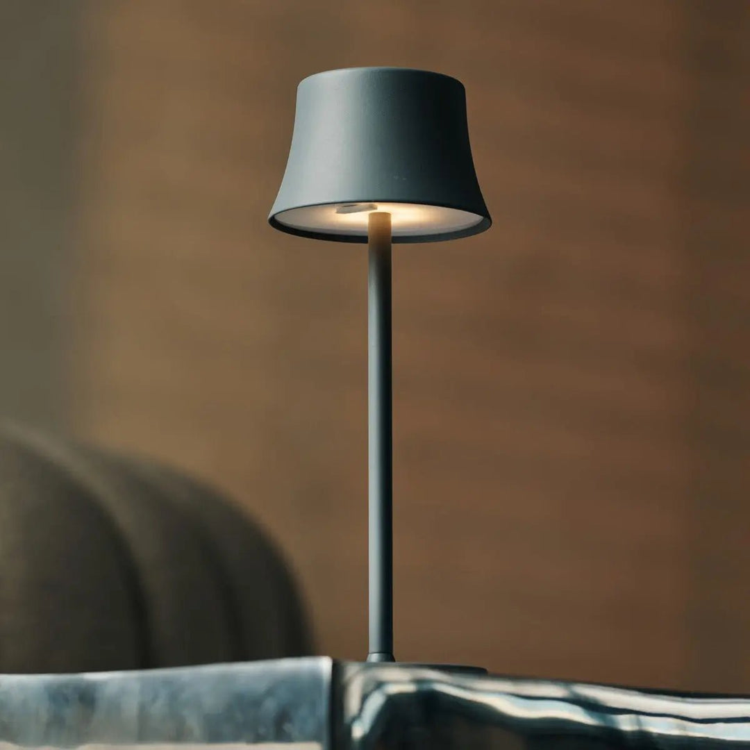 lampe rechargeable gris souris 