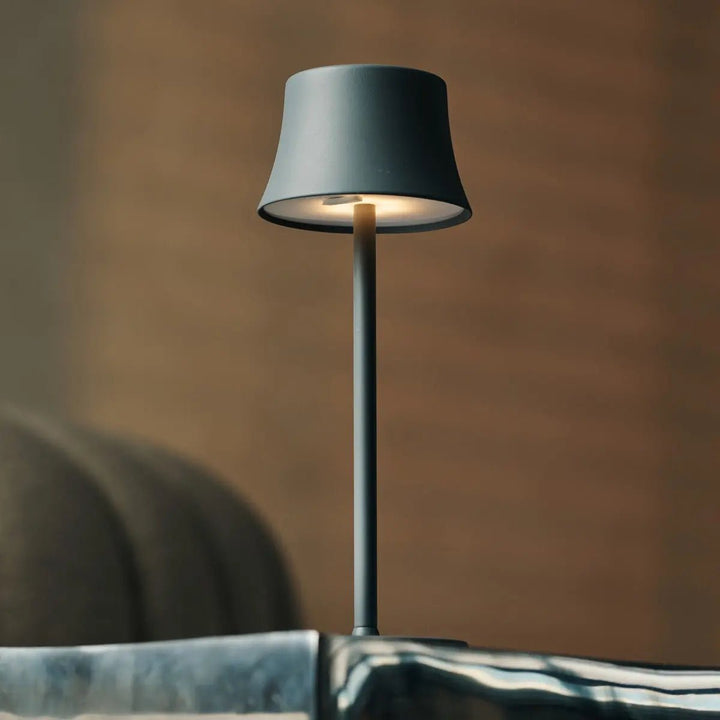 lampe rechargeable gris souris 