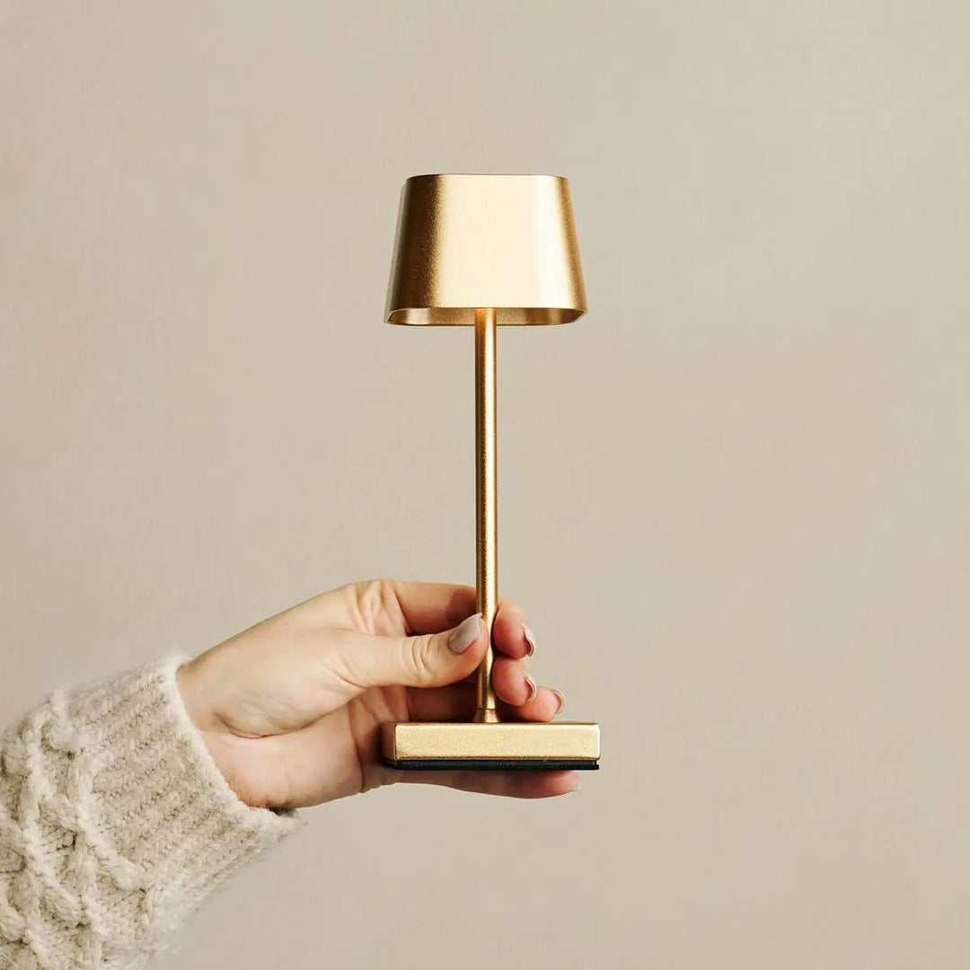 lampe rechargeable or