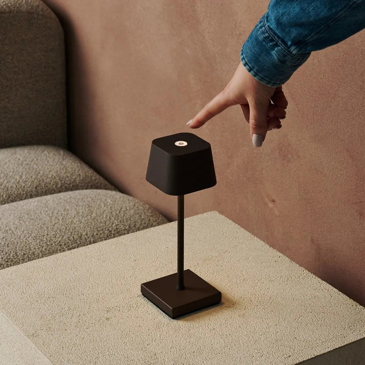 lampes sans fil marron