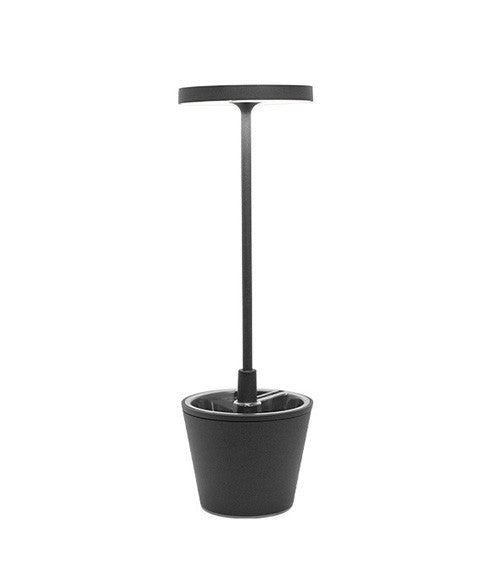 LAMPE LED RECHARGEABLE POUR POT DE FLEUR