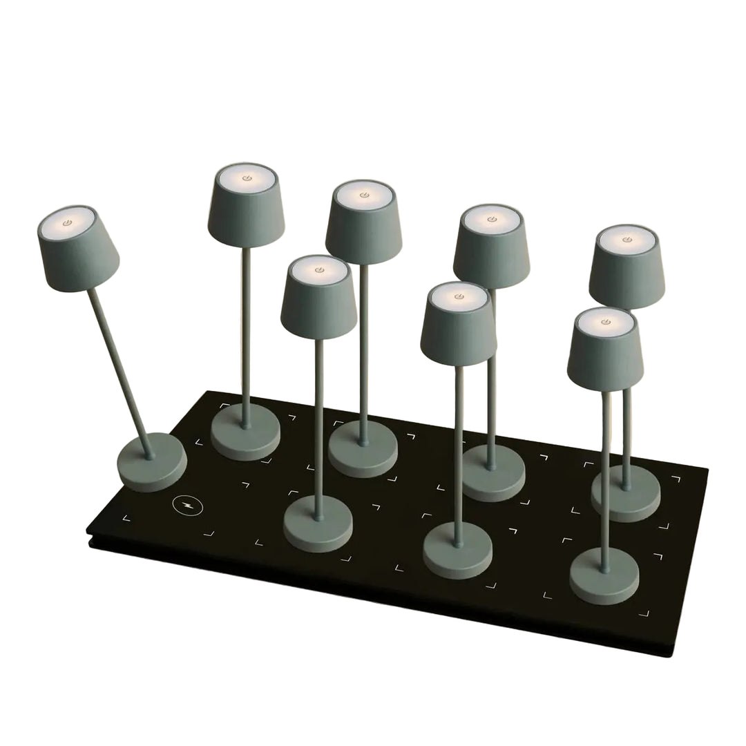 set de 8  lampes rechargeables avec multi chargeur